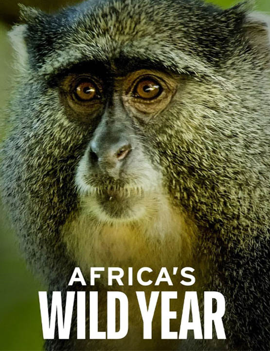 دانلود مستند سال حیات وحش آفریقا 2021