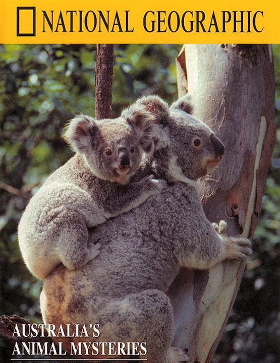 دانلود فیلم اسرار جانوران استرالیا 1984