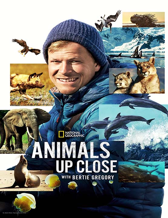دانلود مستند حیوانات از نزدیک با برتی گرگوری 2022