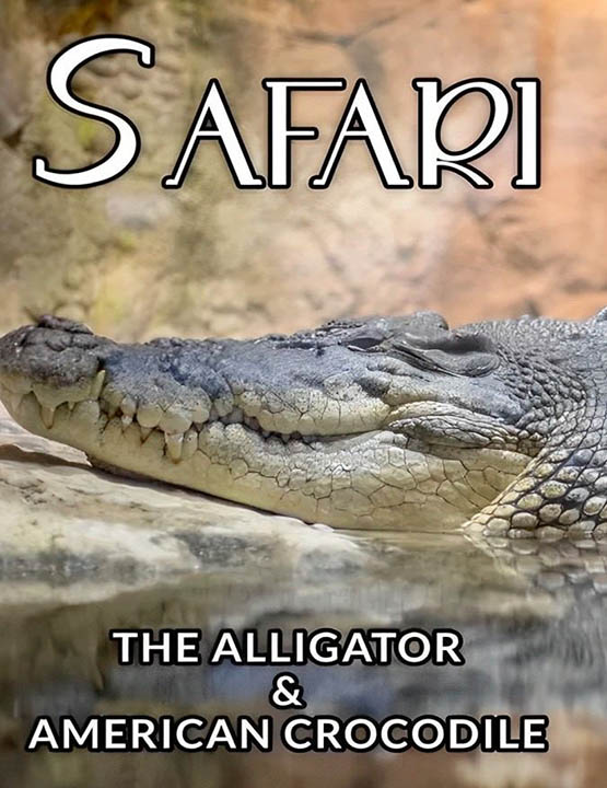 دانلود فیلم سافاری: تمساح و کروکودیل آمریکایی 1996