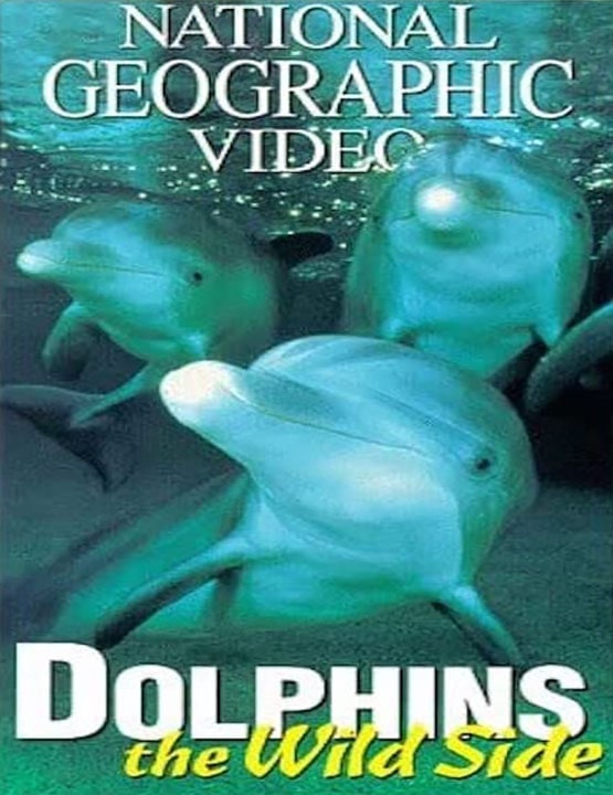 دانلود فیلم دلفین‌ های وحشی 1999
