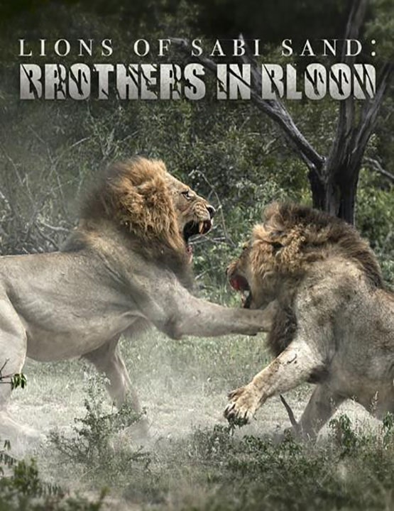 دانلود فیلم برادران تنی: شیر‌های سابی سند 2015