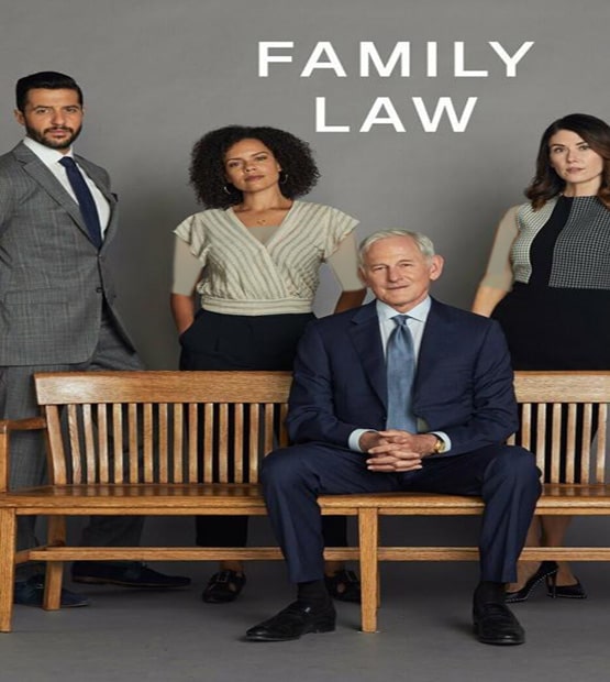 دانلود فصل دوم سریال وکالت خانوادگی 2022