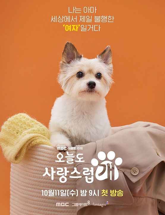 دانلود سریال کره ای یک روز خوب برای سگ بودن