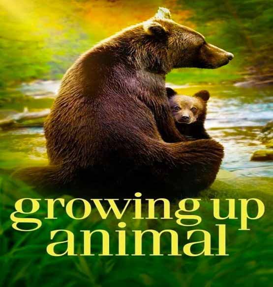 دانلود سریال Growing Up Animal