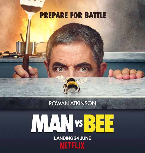 دانلود سریال مرد در مقابل زنبور