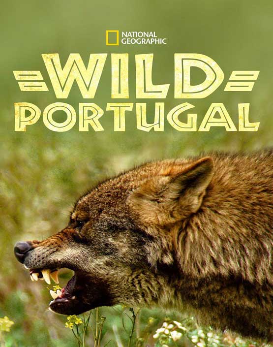 فیلم پرتغال وحشی 2020