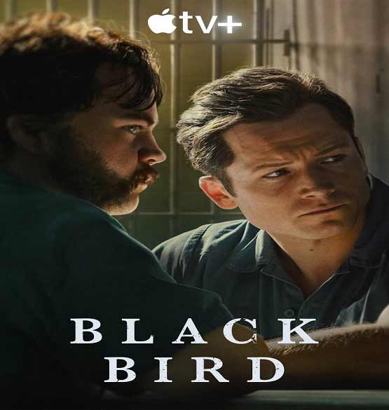دانلود سریال Black Bird